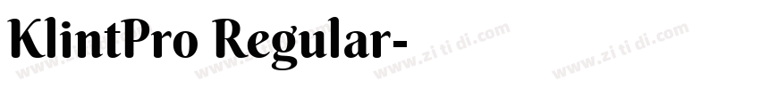 KlintPro Regular字体转换